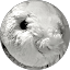 Rei Hime profile picture